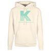 Basic hoodie Thumbnail