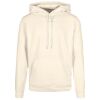 Basic hoodie Thumbnail