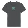 Rocker the essential unisex t-shirt (STTU758) Thumbnail